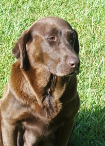 Yocona Bottoms Laid Back Lucy