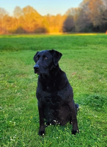 Southern Flight's Mally