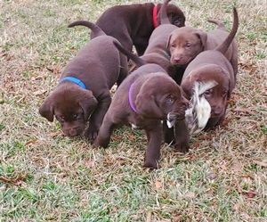 Coolwaters Bad Bad Leroy Brown QAA MH MNH x Runnin With The Big Boyz MH