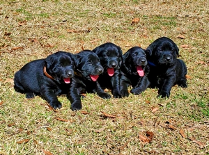 FC Summits Country Roads Take Me Home 