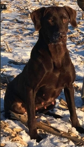 Runnin With The Big Boyz MH 